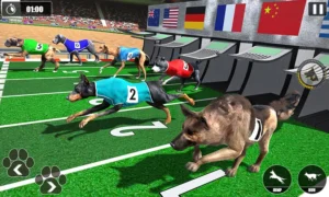 Hướng Dẫn Cách Tham Gia Đặt Cược Game Nhanh Đua Chó Tại iWinClub Luôn Thắng Lớn