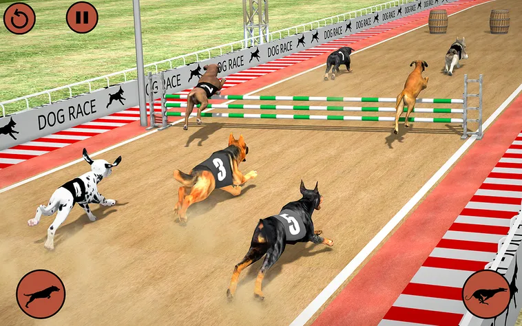 Hướng Dẫn Cách Tham Gia Đặt Cược Game Nhanh Đua Chó Tại iWinClub Luôn Thắng Lớn